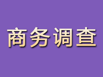 海城商务调查