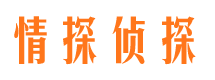 海城市调查公司